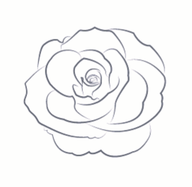 The Party Rental Center